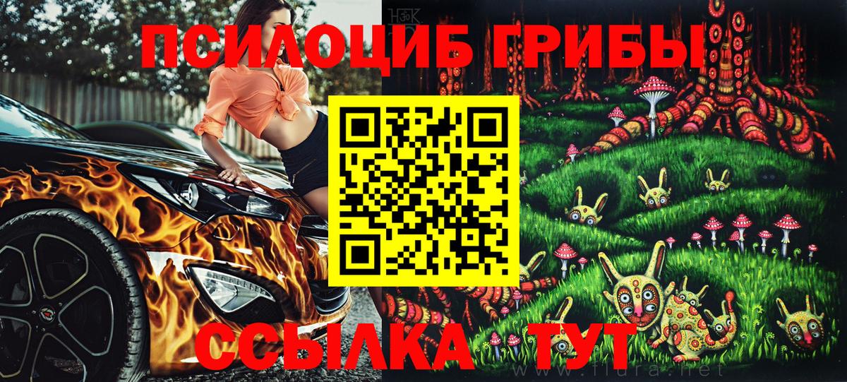Лянтор  Галлюциногенные грибы Psilocybine cubensis  Вход с VPN 